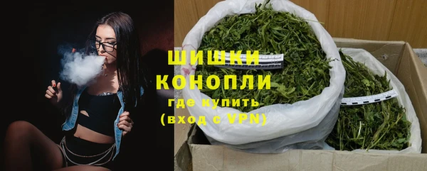 прущие грибы Заволжье