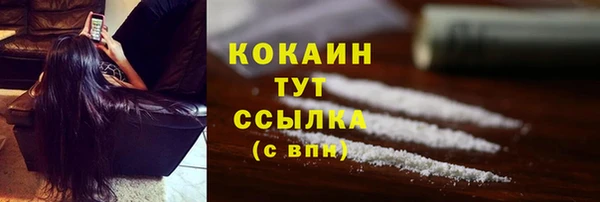 mdpv Заводоуковск