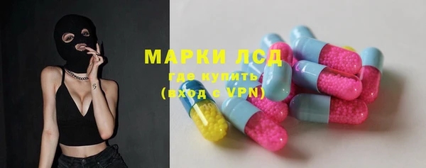 прущие грибы Заволжье