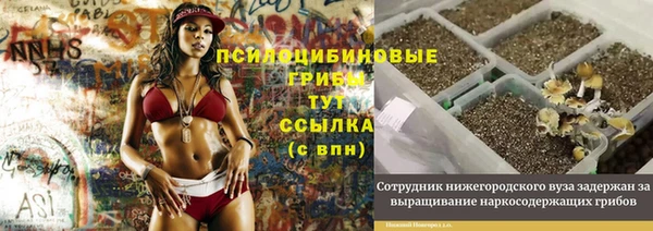 гашик Заволжск