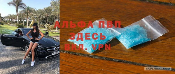 прущие грибы Заволжье