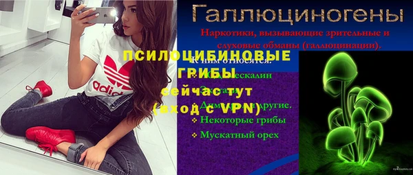 mdpv Заводоуковск