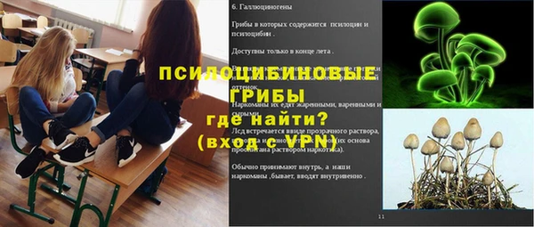гашик Заволжск