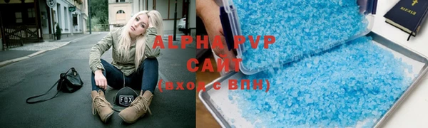 прущие грибы Заволжье
